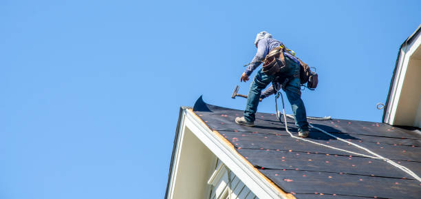 Roof Gutter Cleaning in Seaford, NY